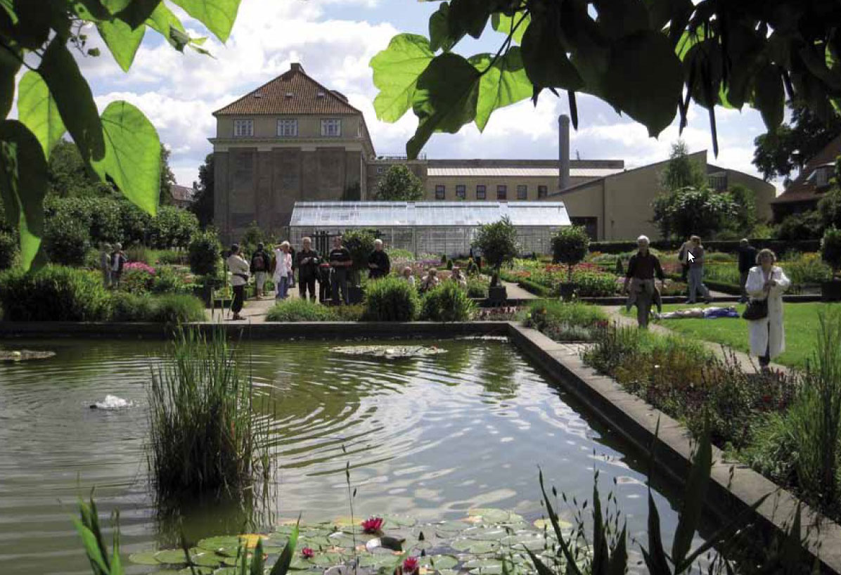 The development plan communicates the
qualities of Frederiksberg Campus in words
and images. Scenic picture of the herbaceous
borders.